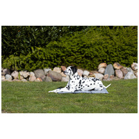 Trixie Soft Cooling Mat - szürke hűtőmatrac kutyák részére #10