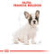 Royal Canin French Bulldog Junior - Francia Bulldog kölyök kutya száraz táp