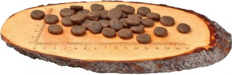 CarniLove Adult Large Salmon & Turkey eledel nagytestű kutyáknak