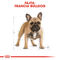 Royal Canin French Bulldog Adult - Francia Bulldog felnőtt kutya száraz táp