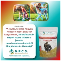 N.P.C.S. FortFlex - Csont, Porc, Ízület, Izom por kutyáknak #7