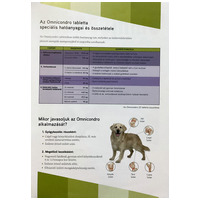 Omnicondro 20 ízületvédő tabletta kutyáknak és macskáknak #9
