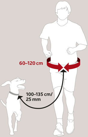 Trixie Dog Activity öv pórázzal, zsebekkel közepes testű kutyáknak