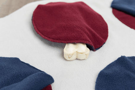 Trixie Sniffing Blanket - Szimat szőnyeg kutyáknak és macskáknak