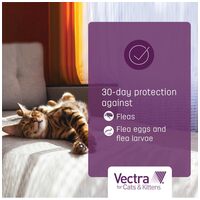 Vectra Felis bolhák elleni spot on macskáknak #7