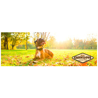 CarniLove Adult Lamb & Wild Boar | Bárány- és vaddisznóhúsos kutyatáp #6