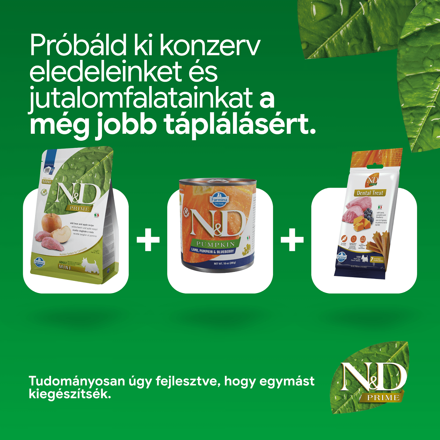 N&D Dog Adult Mini Boar & Apple Grain Free | Vaddisznóhúsos és almás kutyaeledel | Kistestű kedvenceknek