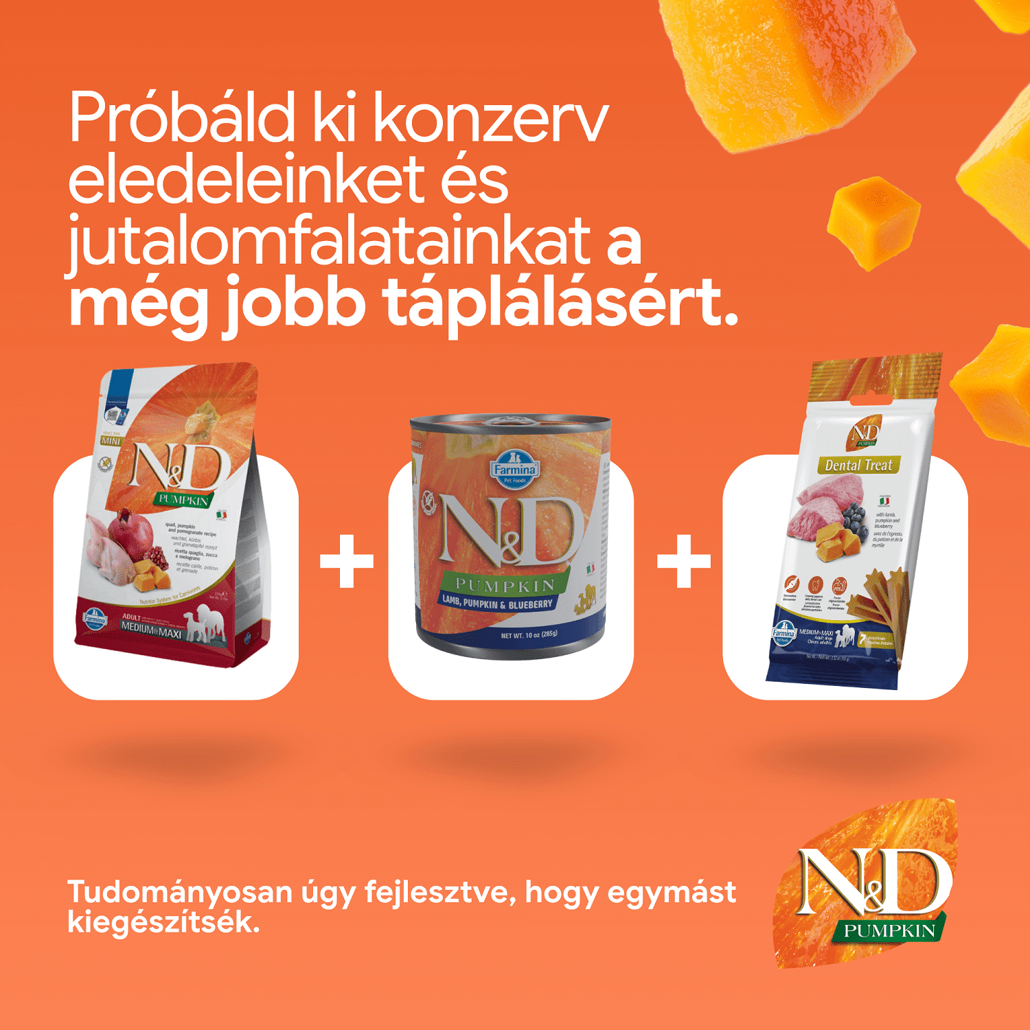 N&D Dog Grain Free Adult Medium/Maxi sütőtök, fürj & gránátalma szuperprémium kutyatáp