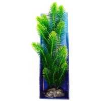 Plantă mare de acvariu Cabomba aquatica de culoare verde