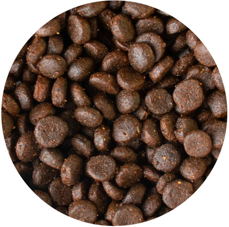 Alleva Equilibrium Ocean Fish Medium/Maxi