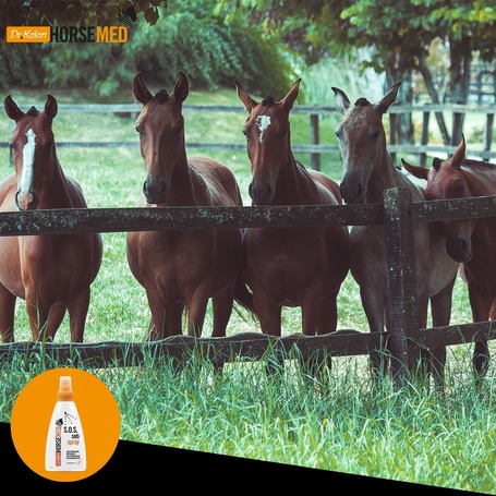 Horsemed SOS sebápoló spray lovaknak