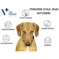 Vet Expert KalmVet #4
