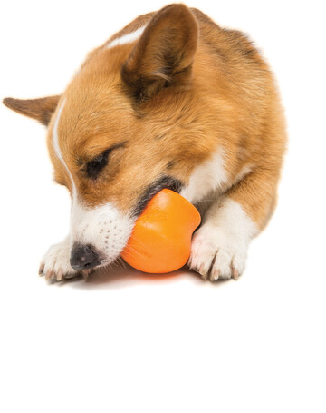 West Paw Toppl - Jutalomfalattal tölthető kutyajáték