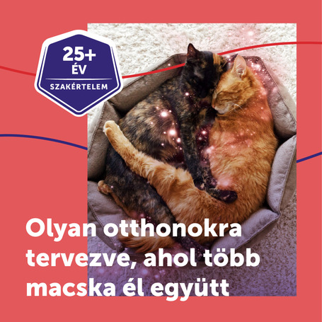 Feliway Friends nyugtató hatású párologtató macskáknak