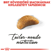 Royal Canin British Shorthair Kitten - Brit rövidszőrű kölyök macska száraz táp #5