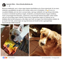 Ambrosia Dog Grain Free Senior, Light & Sterilized #20