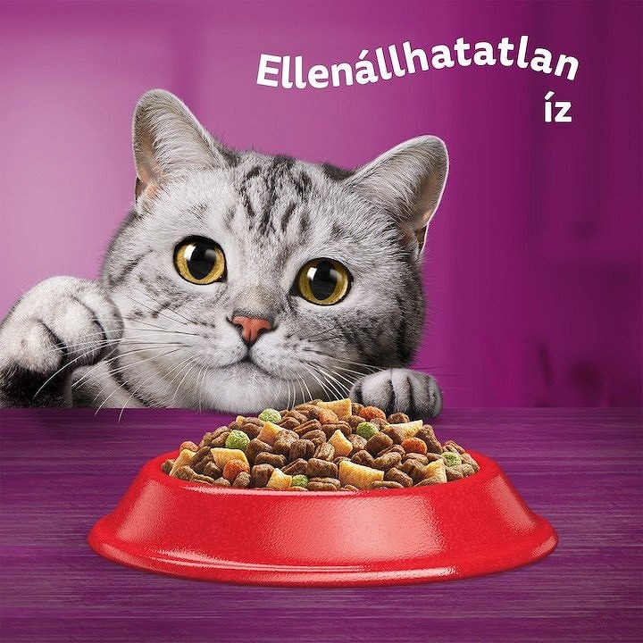 Whiskas - Hrană uscată pentru pisici adulte, cu vită - zoom