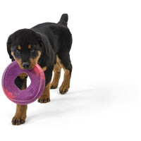 West Paw Seaflex Sailz - Károsanyag-mentes frizbi #7