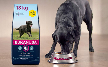Eukanuba Adult Large 18 kg