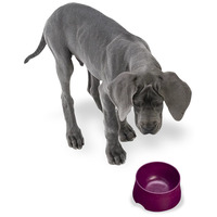 West Paw etetőtál #10