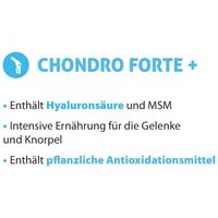 Eminent Chondro Forte+ #4