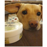 Anibent illatos mancskrém - Zöldcitromos (Lime-os) #4