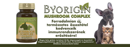 ByOrigin immunerősítő gomba kapszula 5 féle gyógygombával és Moringával