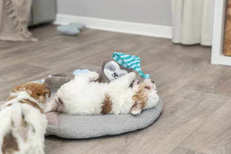 Trixie Junior lajhár szívhanggal kölyökkutyák részére