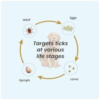 Zerokeet élősködők elleni oldat kutyáknak #7