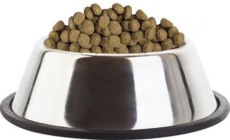 Eukanuba Dermatosis száraz gyógytáp kutyáknak