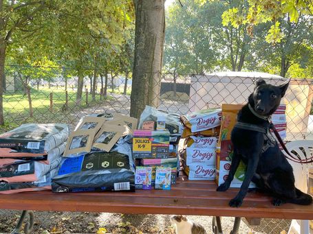 Megint sok adomány érkezett Tőletek, köszönjük!