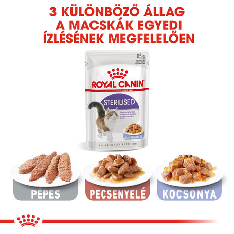 Royal Canin Sterilised Jelly - Ivartalanított felnőtt macska zselés nedves táp