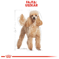 Royal Canin Poodle Adult - Uszkár felnőtt kutya száraz táp #2