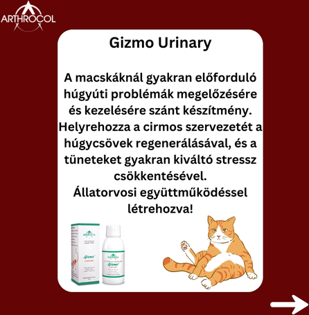 Arthrocol Gizmo Urinary Cat