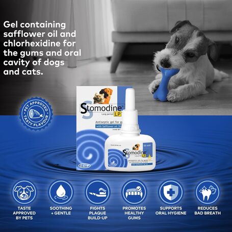 Stomodine L.P. antibakteriális szájfertőtlenítő gél kutyáknak és macskáknak
