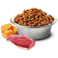 N&D Dog Grain Free Adult Medium/Maxi sütőtök, kacsa & áfonya szuperprémium kutyatáp #2