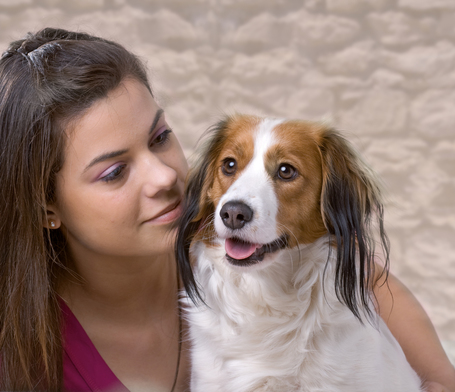 Belcando Finest Croc | Eledel túlsúlyos kistestű és közepes testű kutyák számára