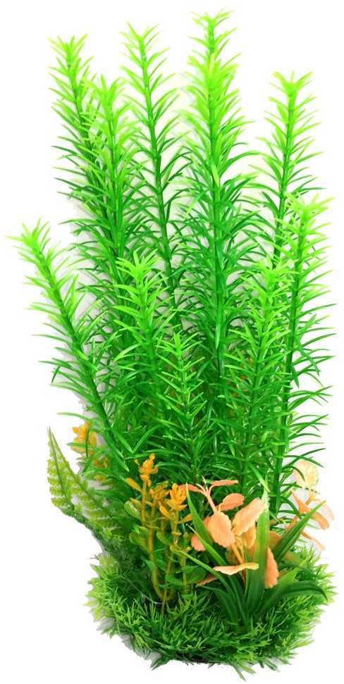 Plantă de acvariu verde cu tulpină lungă și plantă de acvariu cu flori galbene