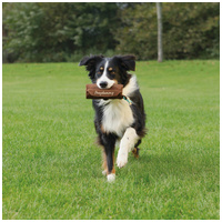 Trixie Dog Activity préda utánzat játék kutyának #7