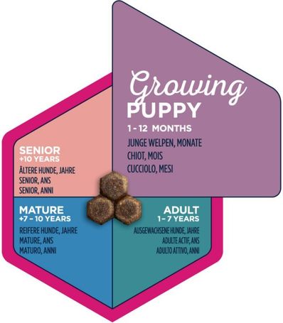 Eukanuba Puppy Medium | Táp közepes testméretű kölyökkutyáknak | Szuperprémium szárazeledel