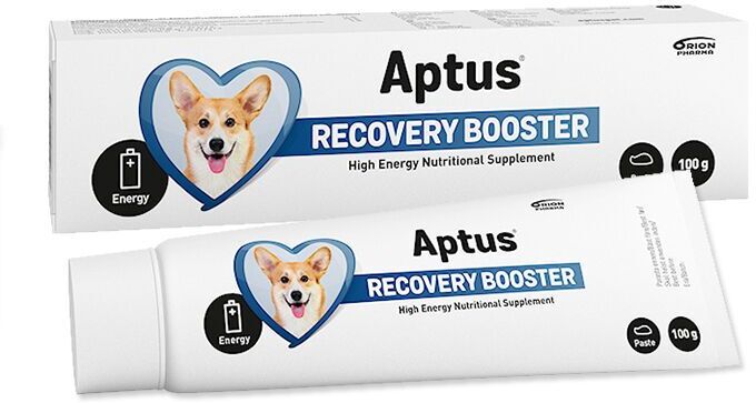 Aptus Recovery Booster Dog pastă pentru convalescență