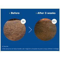 Douxo S3 Seb sampon kutyáknak és macskáknak #2