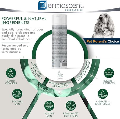 Dermoscent PYOclean Shampoo kutyáknak és macskáknak