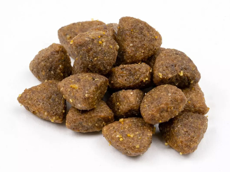 Profine Adult Salmon & Potatoes | Hipoallergén felnőtt kutyatáp lazachússal és burgonyával