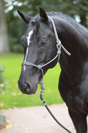 Covalliero csomózott kötőfék