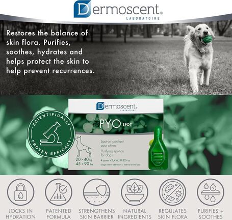Dermoscent PYOspot kutyáknak