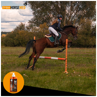 Horsemed Hot Express bemelegítő gél lovaknak #2