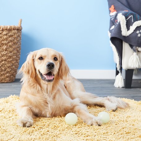 Chuckit! Max Glow - Sötétben világító gumilabda kutyáknak