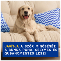 Douxo Spa kondicionáló kutyáknak #8