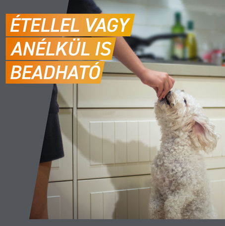 Frontpro rágótabletta bolha és kullancs ellen